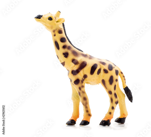 toy giraffe isolated