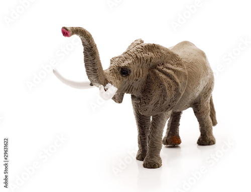 toy elephant, isolated © nikolych