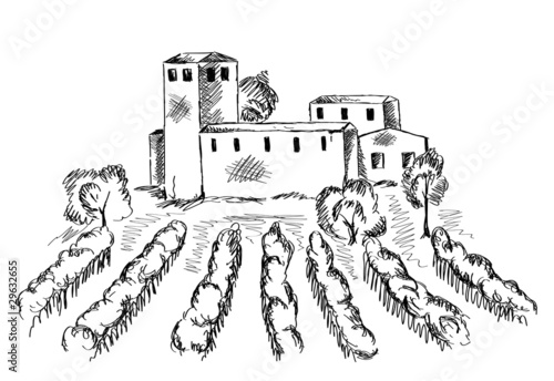 Vineyard and old building