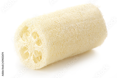 Фотография Loofah