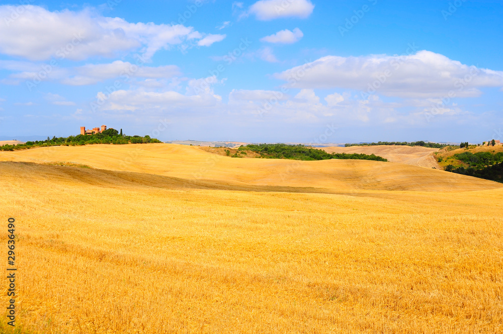 Meadows Of Tuscany