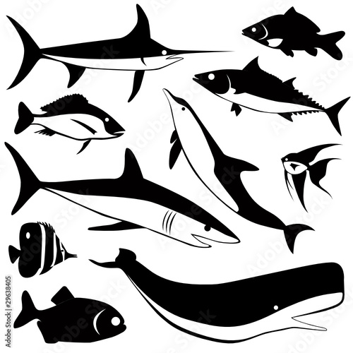 fish vector set