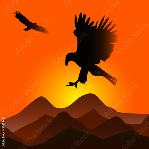 sunset with eagles © sabri deniz kizil