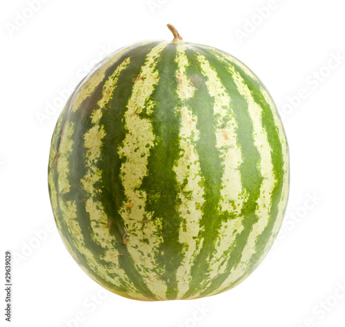 Watermelon isolated