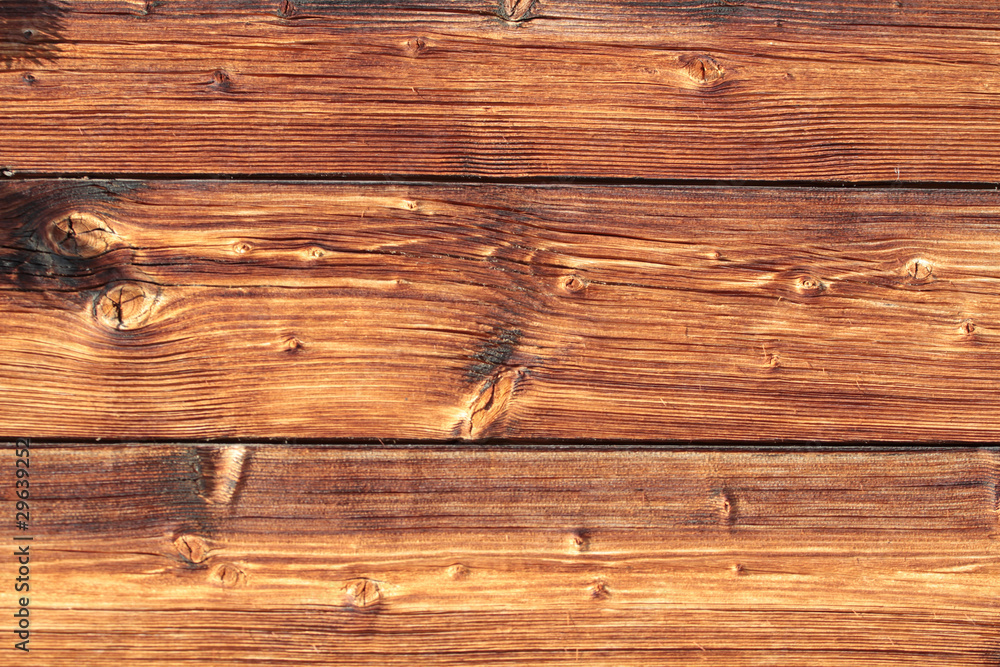 Fototapeta premium Holz