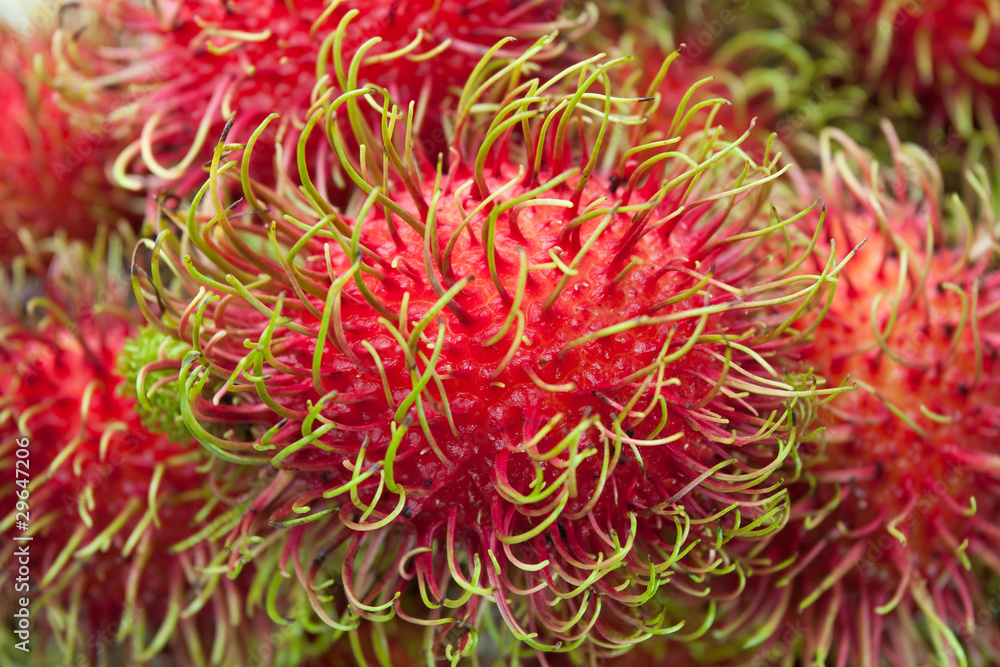 Rambutan fruit Rambutan fruit