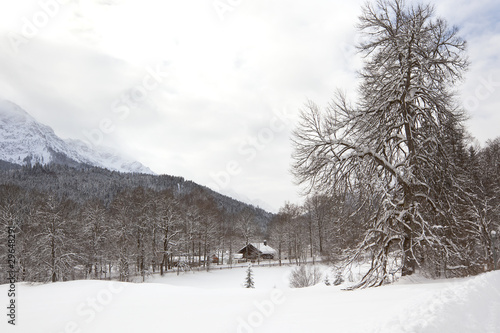 Alpine village at snow winter