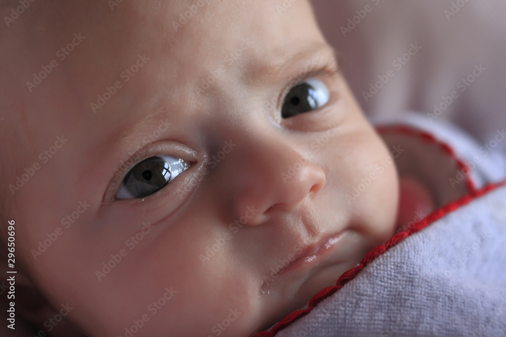 occhi neonata bebè occhi neonata bebè