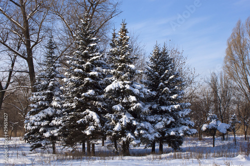 Wallpaper Mural Snow sketches Torontodigital.ca