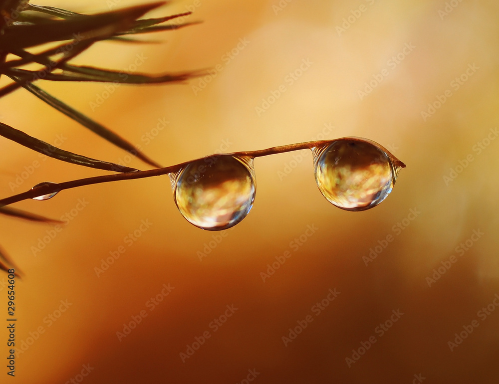 Obraz premium Color water drop