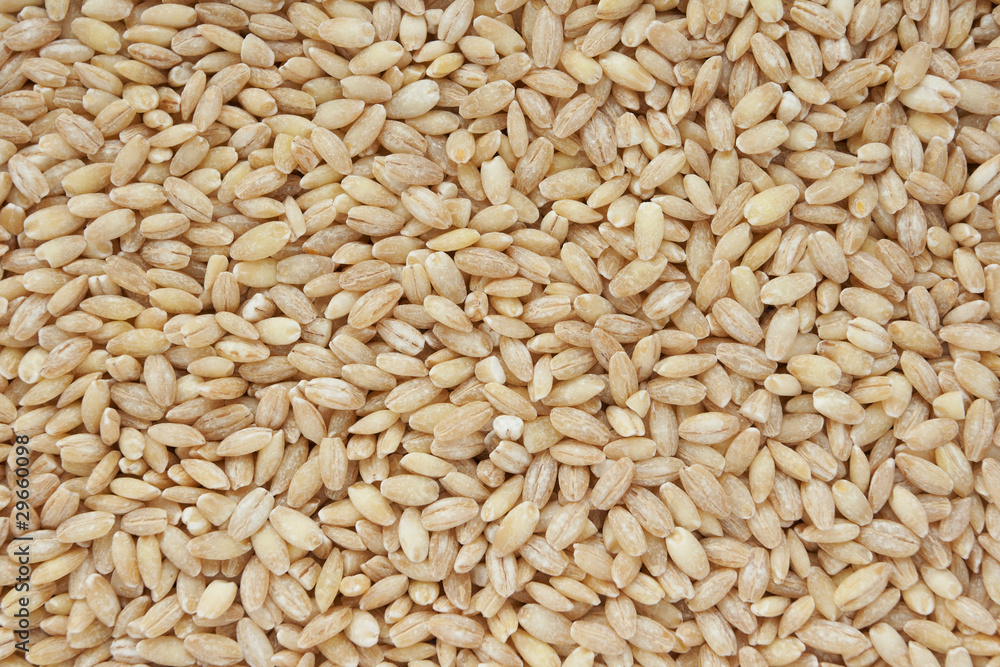 grain grain