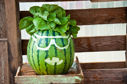 carved art on watermelon