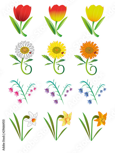 Flowers.