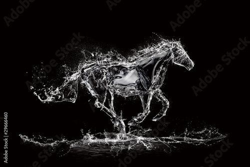 water horse black