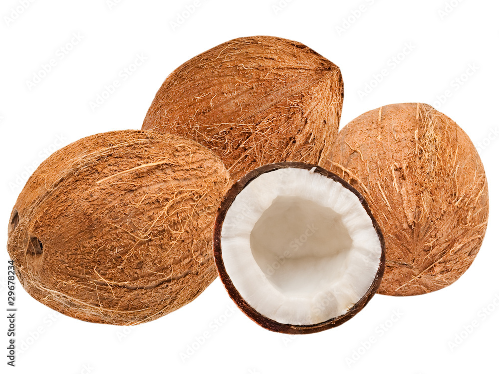 coconuts isolated on white background coconuts isolated on white background