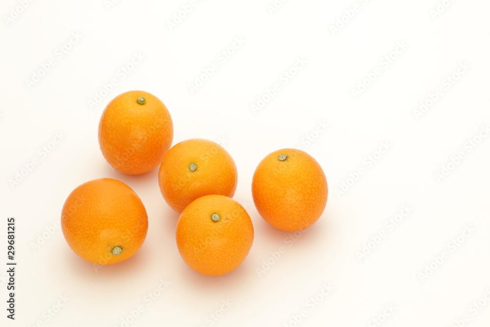 金柑 金柑
