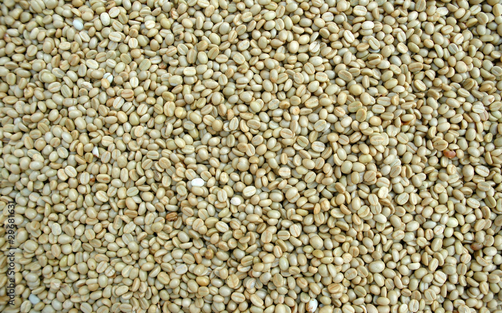 Fototapeta premium coffee bean
