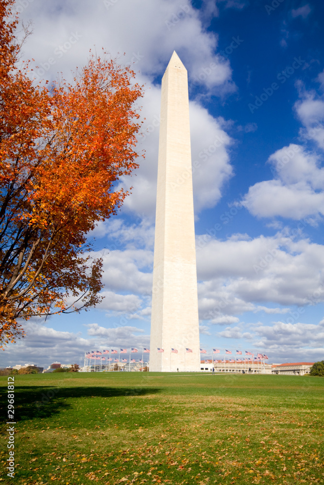 Washington Monument Autumn Framed Leaves Blue Sky