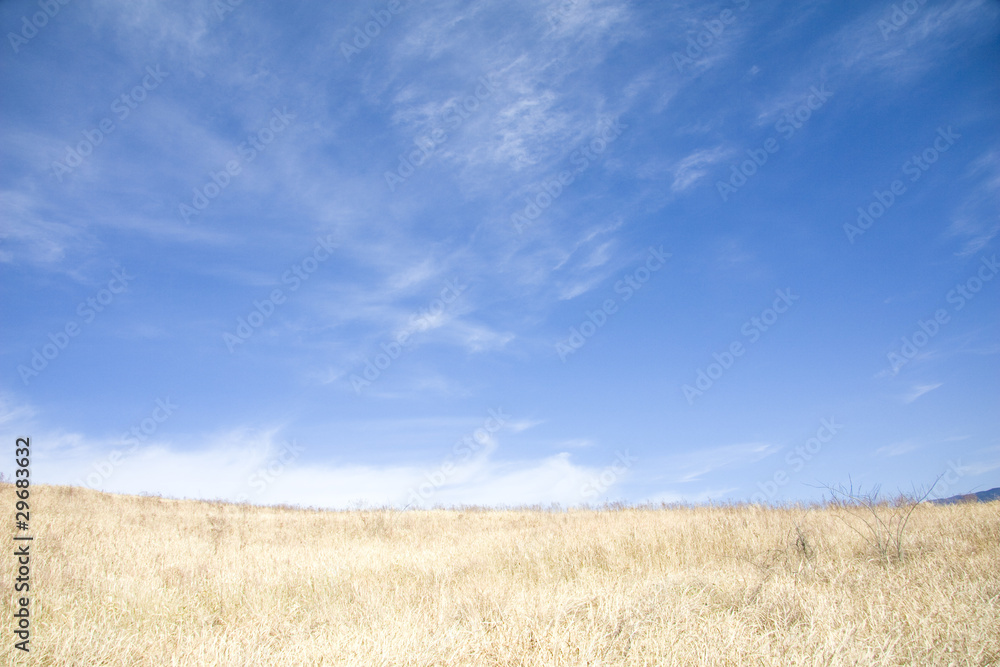 枯れ草の草原と青空
