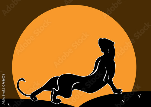 black panther1
