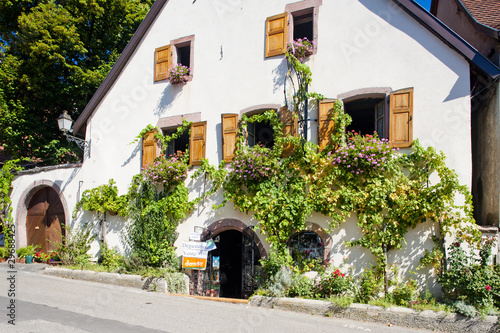 Fototapeta Naklejka Na Ścianę i Meble -  Alsace, France