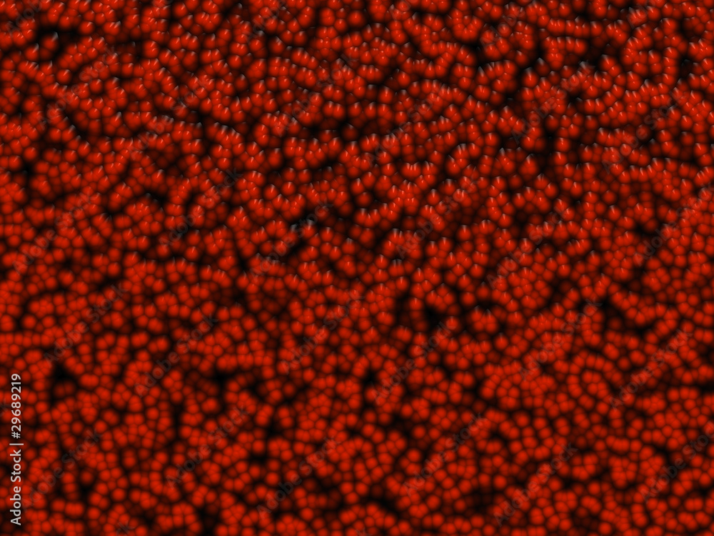 Red cellular texture Red cellular texture