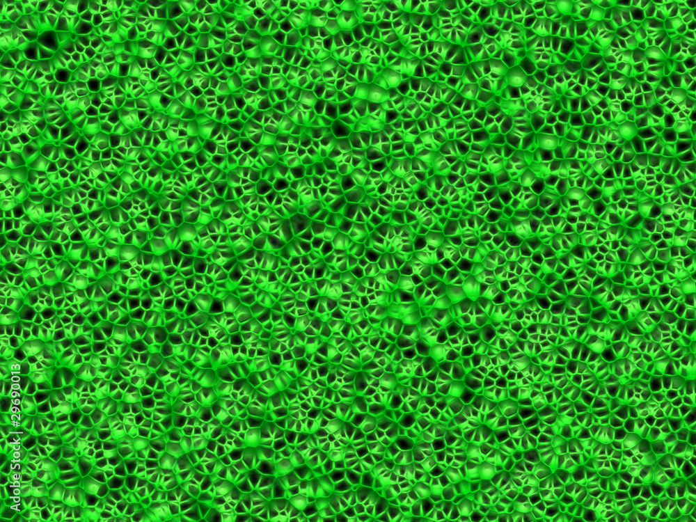 cellular texture cellular texture