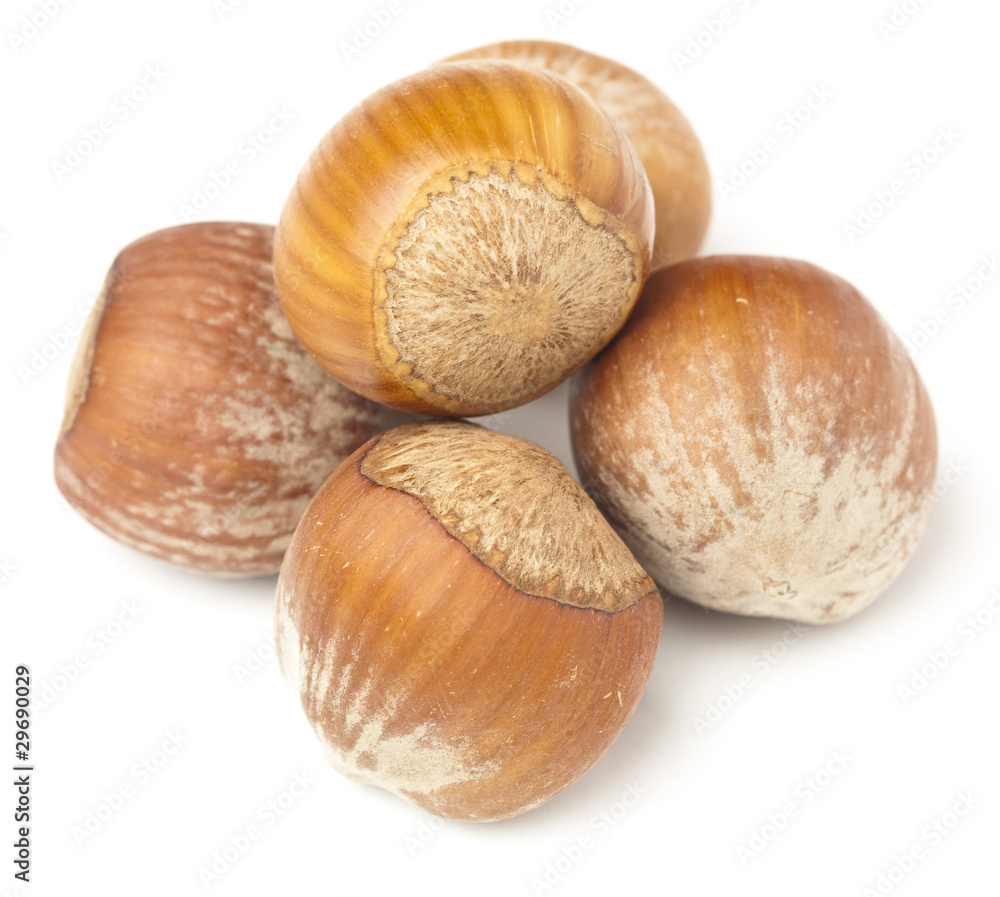 hazelnuts hazelnuts