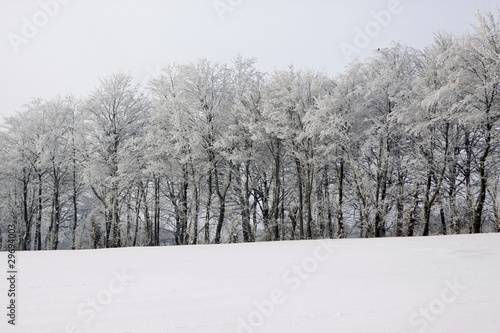 Diesige Winterlandschaft © Martina Berg