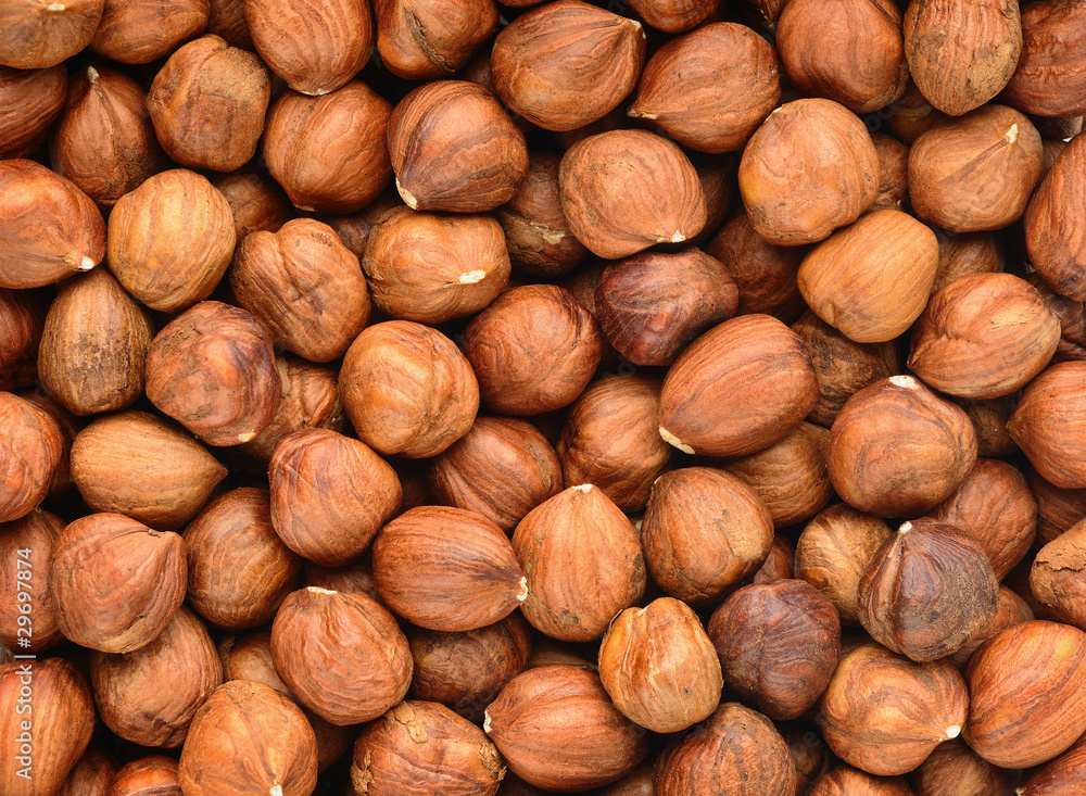 Hazelnuts closeup shot, horizontal background Hazelnuts closeup shot, horizontal background