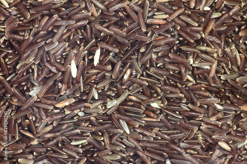 Brown Rice grains
