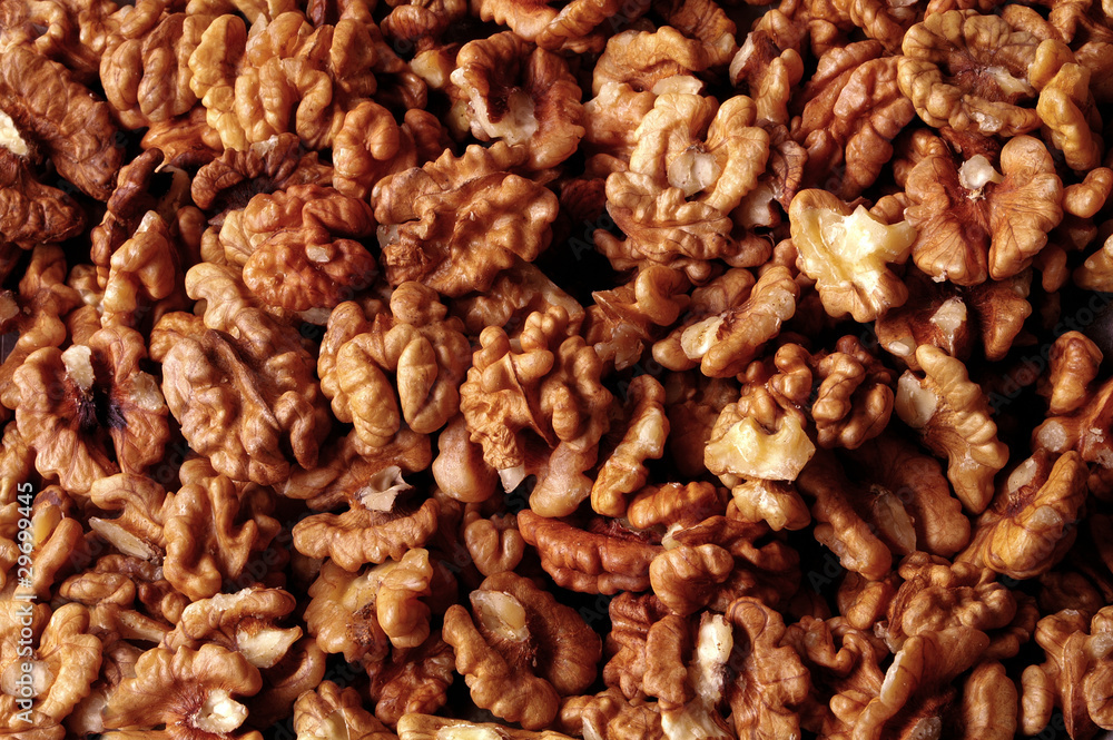 Nut background Nut background
