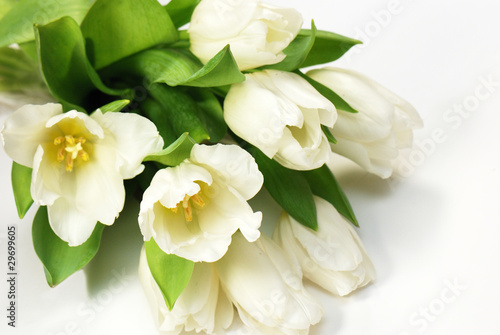 Weißer TulpenStrauss