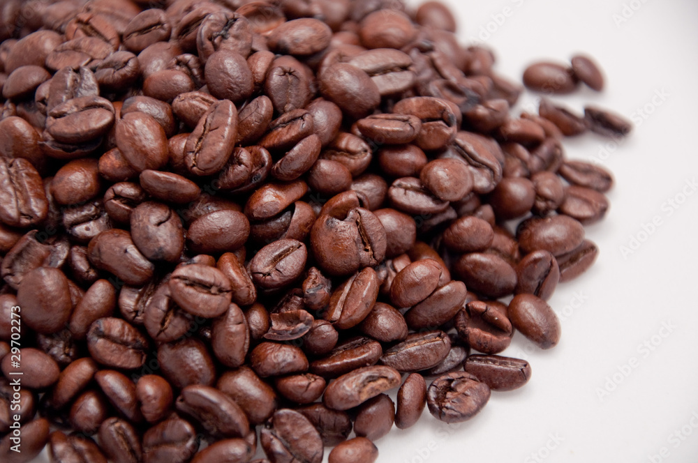 Obraz premium Elexir des Lebens