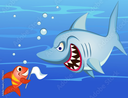 Shark and tiny fish make peace