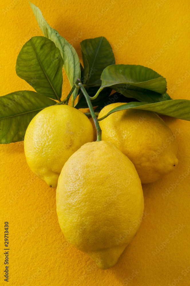 limoni su fondo arancione