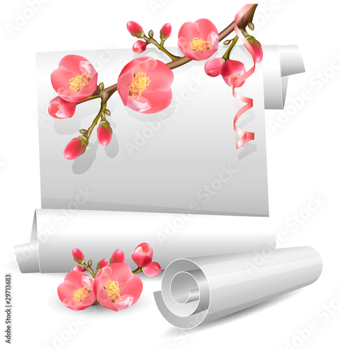 Vector gift spring  scrolls with flowering quince.