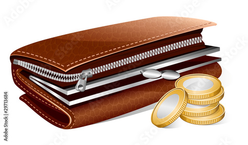 Vector wallet and coins