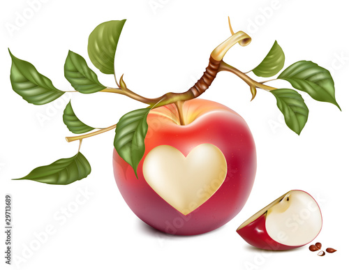 Vector red apple with a heart symbol.