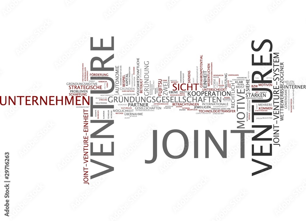 Joint Venture Joint Venture