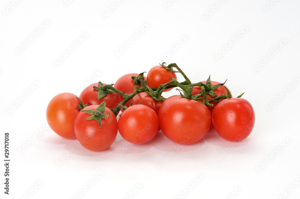 Tomato branch Tomato branch