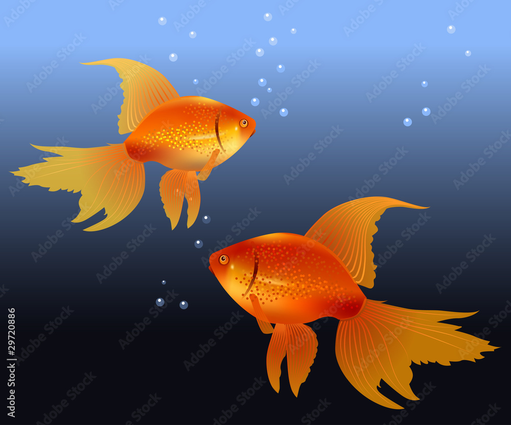 Two realistic gold fishes in the depths of the ocean