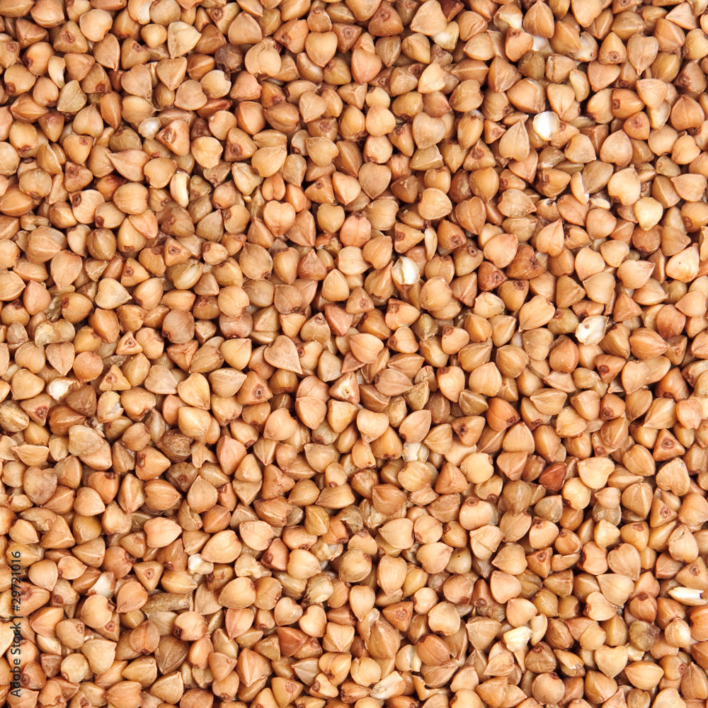 buckwheat; buckwheat;