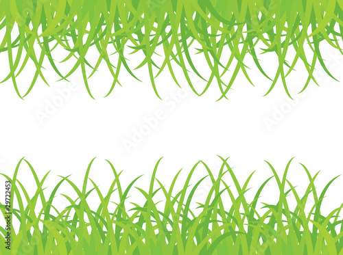 Grass On White Background, Vector Illustration