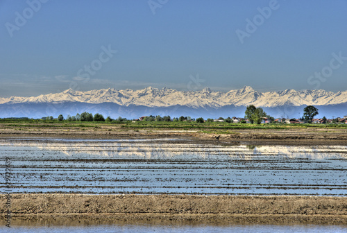 Εκτύπωση καμβά rice fields