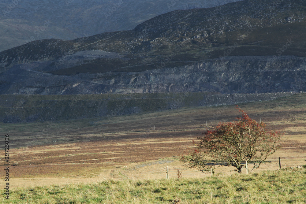 Moorland and quarry.