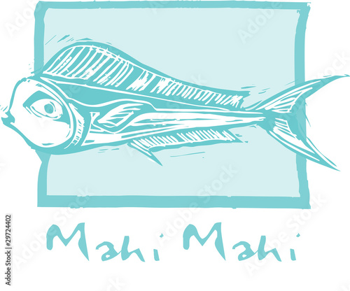 Mahi Mahi Fish in blue