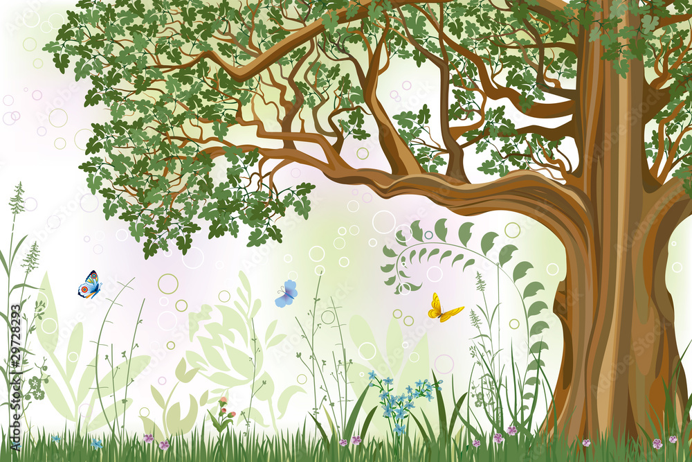 Obraz premium Oak tree