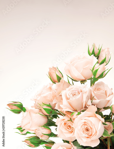 Fototapeta Naklejka Na Ścianę i Meble -  Fresh roses border