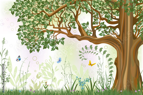 Oak tree